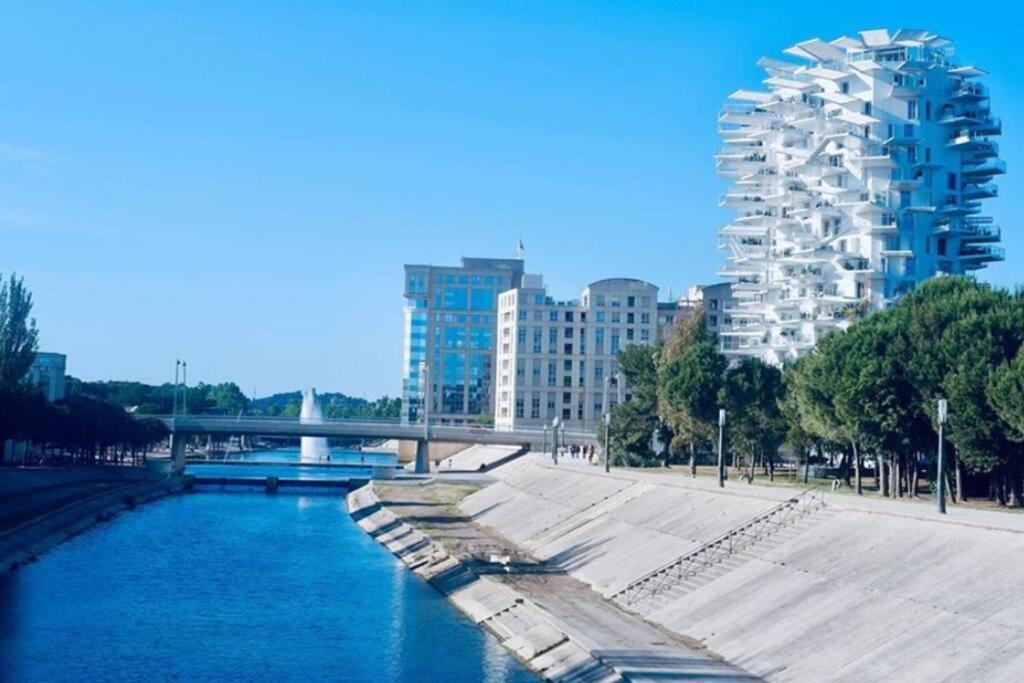 Appartement T2 A L'Arbre Blanc Montpellier Bagian luar foto